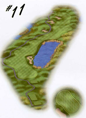 hole11